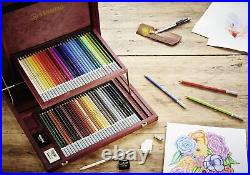 Chalk-Pastel Pencil STABILO CarbOthello Wooden Box of 60 Assorted Color