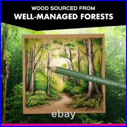 Colored Pencils Assorted 72 Count Soft Core Artist Quality for Drawing