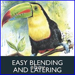 Derwent watercolor pencils water color pencil 48 color set wood box set 0700758