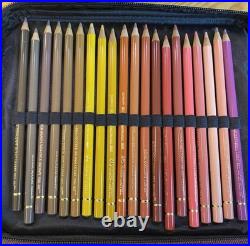 Faber Castell Polychromos 120 Count Colour Colored Pencils 9201 Germany WithCase