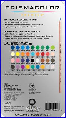 Premier Colored Pencils, Water-Soluble Color Pencil Set, Assorted Colors