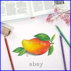 Professional Colored Pencils Set, 126 Soft Core Colored Pencils for Drawing
