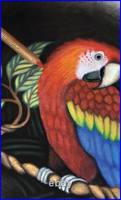 Professional-Grade 72 Colored Pencil Set in Tin for Artists and Illustrators Professional-Grade 72 Colored Pencil Set in Tin for Artists and Illustrators