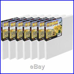 The Edge All Media Cotton Stretched Canvas Paintable Edge Frameless Art Box of 6